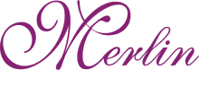 Merlin studio